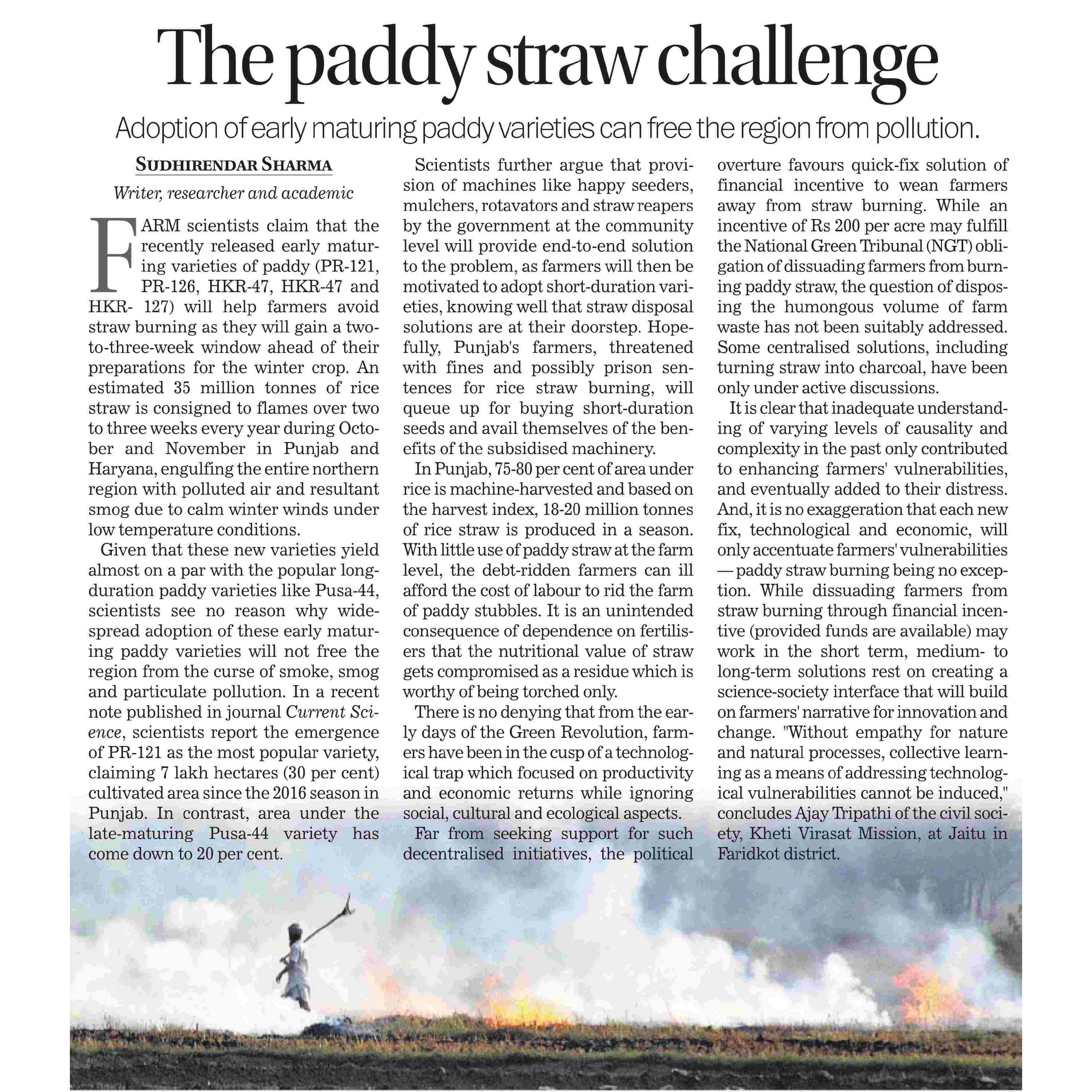 The-paddy-sraw-challenge