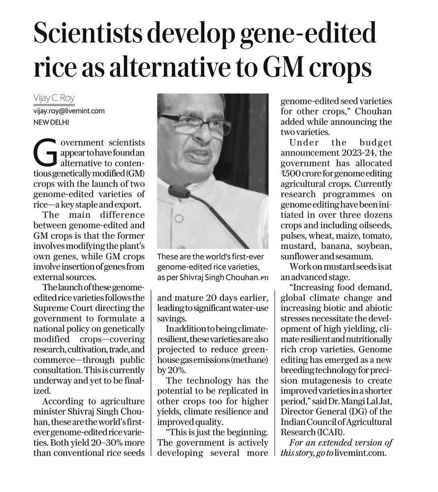 Scientists develop gene- edited rice as alternative to GM crops