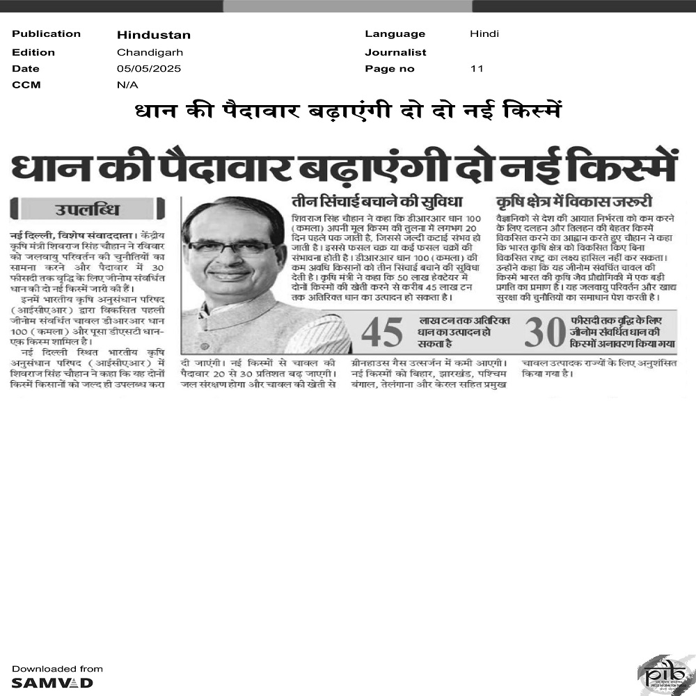 धान की पैदावार बढ़ाएंगी दो नई किस्में