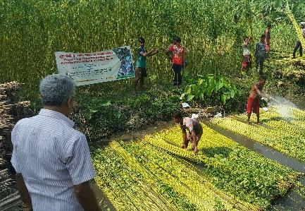 Accelerated Retting Technology of Jute