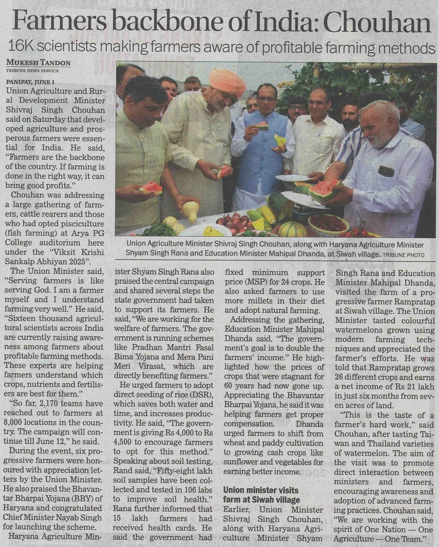 The Tribune