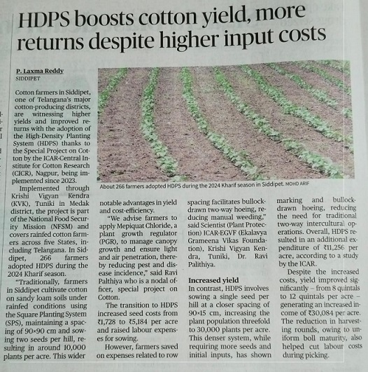 HDPS boots cotton yield, more returns despite higher input costs