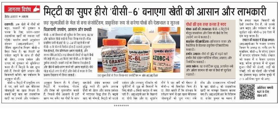 दैनिक जागरण 