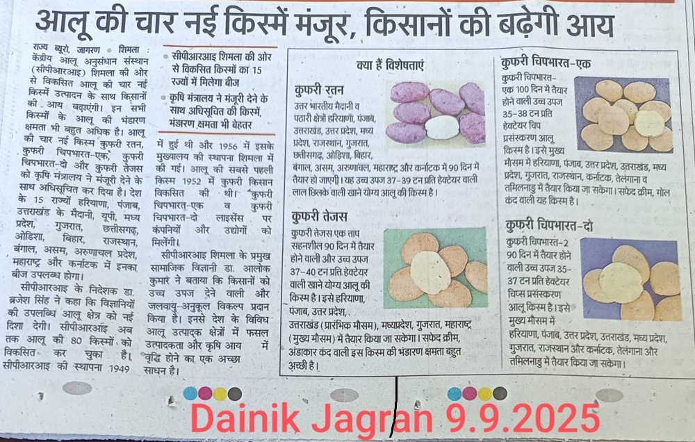दैनिक जागरण 