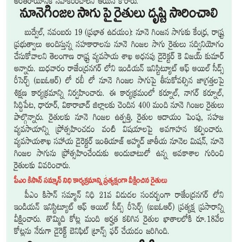 నూనెగింజల సాగు పై రైతులు దృష్టి సారించాలి