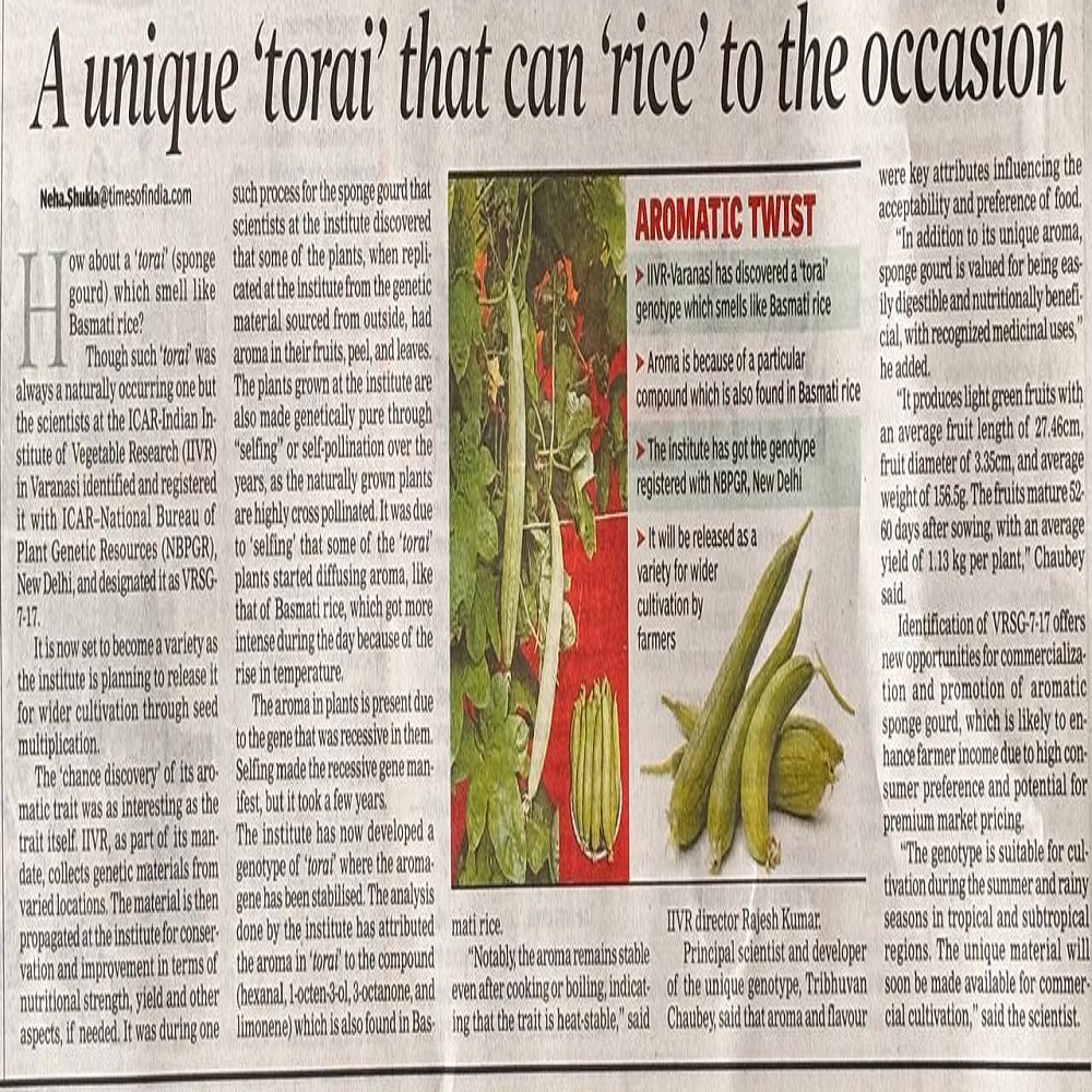 A unique ‘torai” that can ‘rice' to the occasion