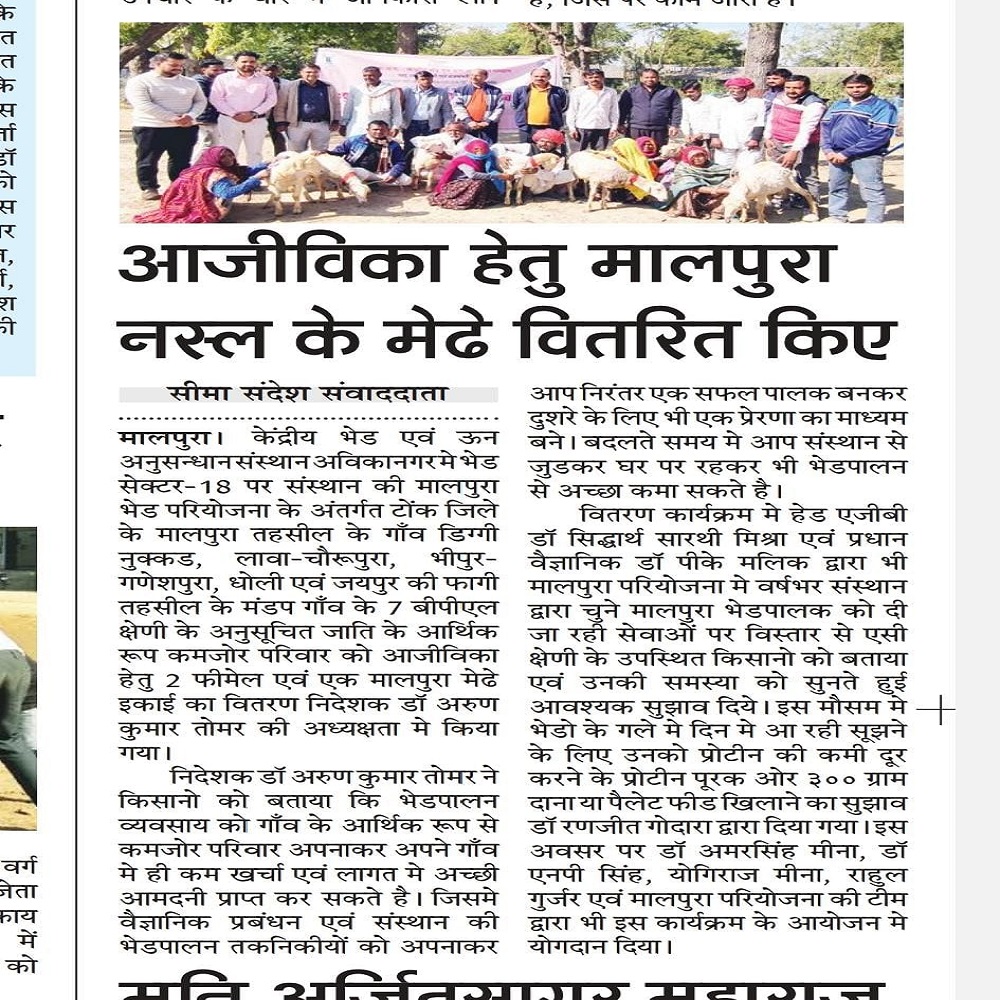 आजीविका हेतु मालपुरा नस्ल के मेढे वितरित किए