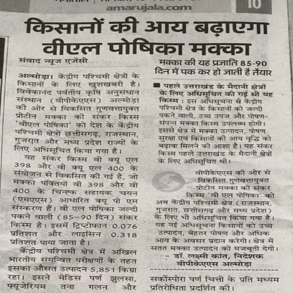 किसानों की आय बढ़ाएगा वीएल पोषिका मक्का
