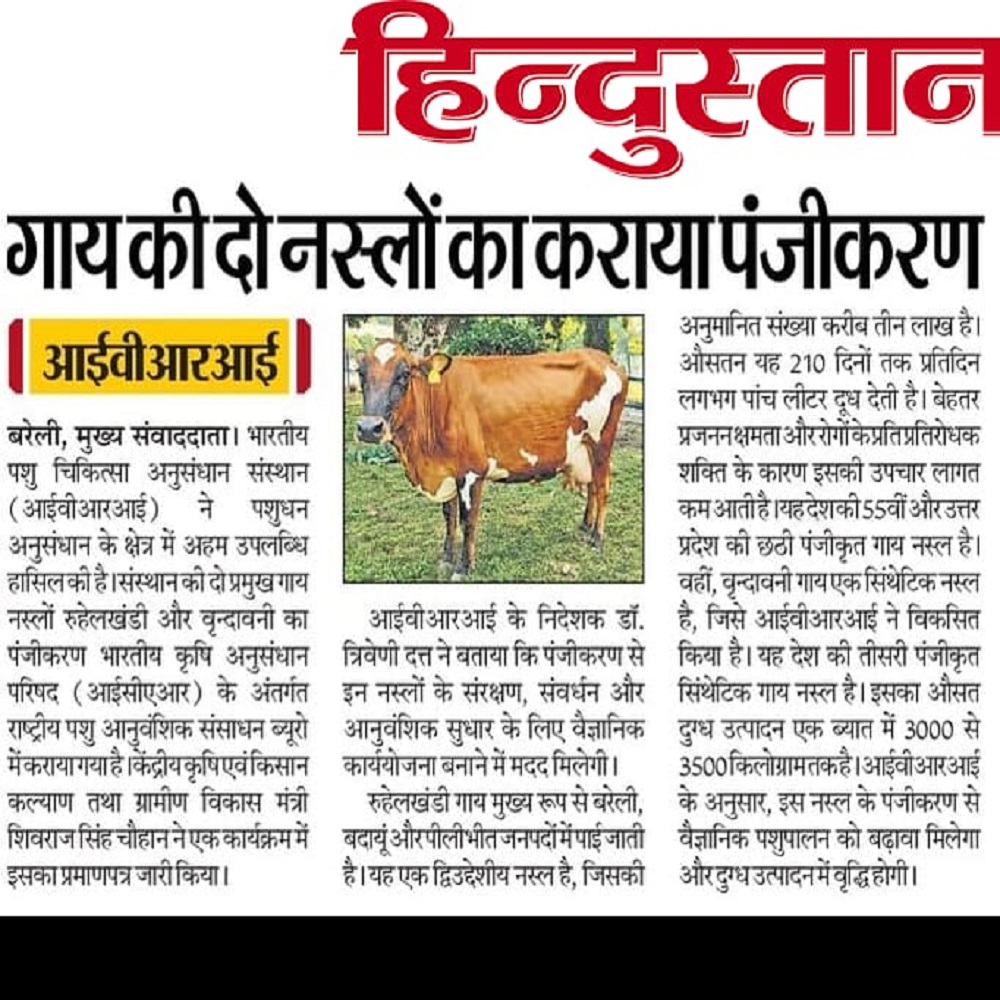 गाय की दो नस्लों का कराया पंजीकरण