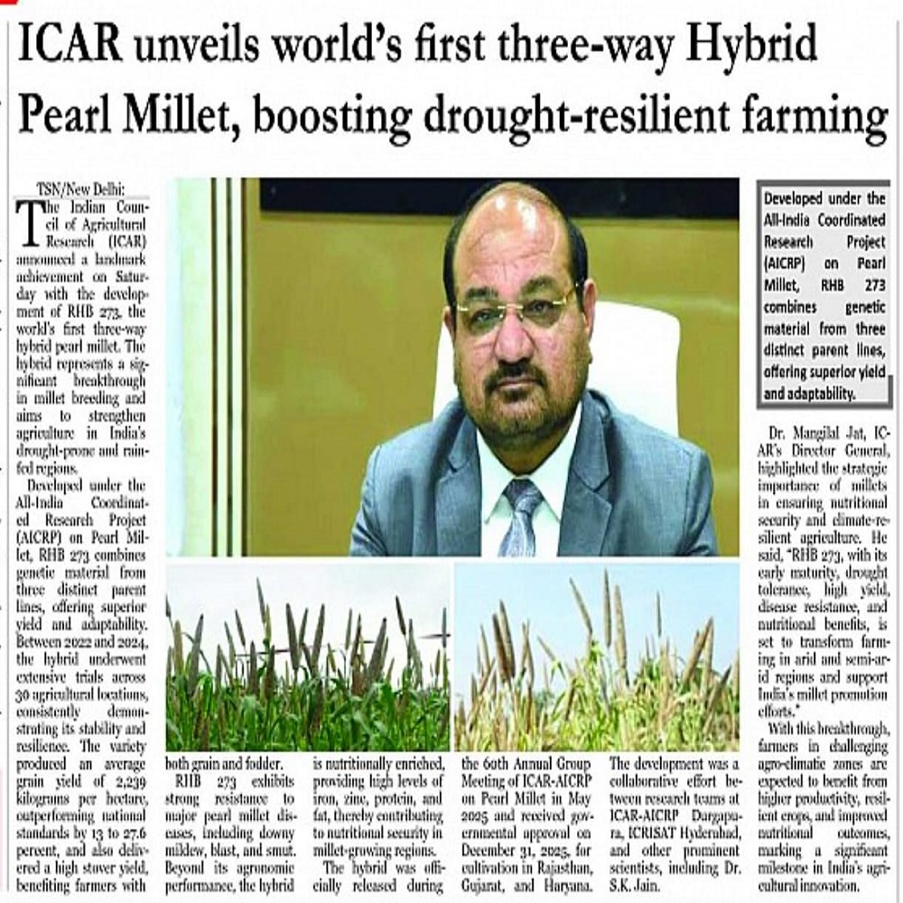 ICAR unveils world's first three-way Hybrid Pearl Millet, boosting drought-resilient farming