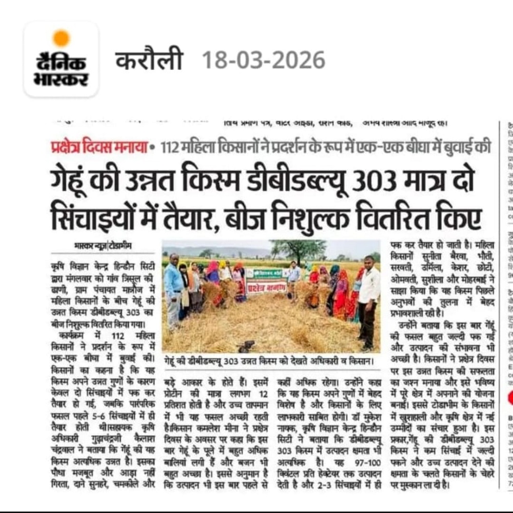 गेहूं की उन्नत किस्म डीबीडब्ल्यू 303 मात्र दो सिंचाइयों में तैयार, बीज निशुल्क वितरित किए