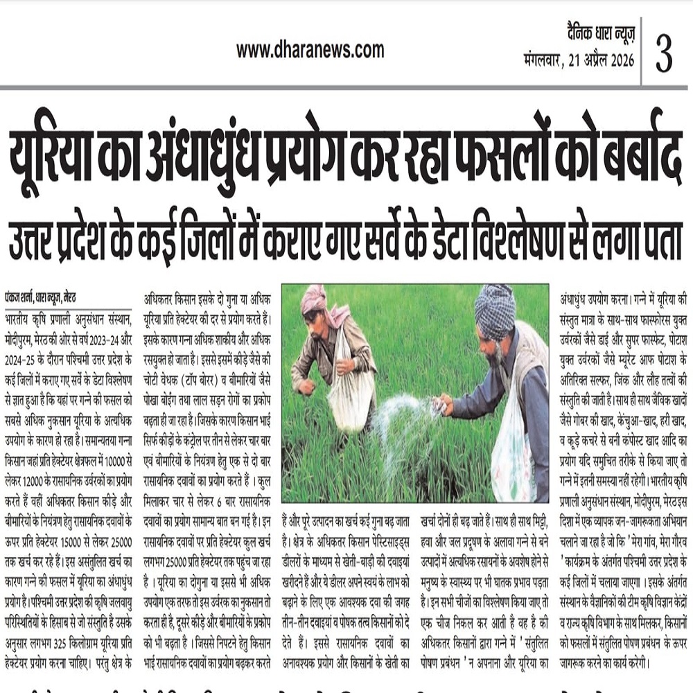 यूरिया का अंधाधुंध प्रयोग कर रहा फसलों को बर्बाद उत्तर प्रदेश के कई जिलों में कराए गए सर्वे के डेटा विश्लेषण से लगा पता