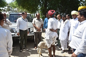 केन्द्रीयभेड़-अनुसंधान-संस्थान-अविकानगर-03