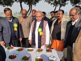 नरेंद्र-सिंह-तोमर-भ्रमण-03_0.jpg 