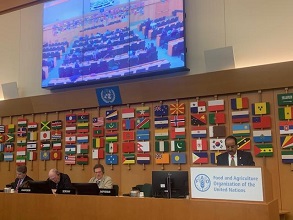 12th-session-FAO’s-Intergovernmental-02_1.jpg