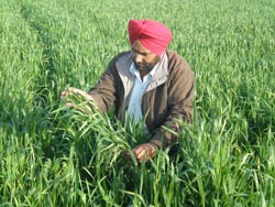 14-05-10-Sahab-Singh