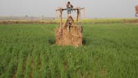 solar lift irrigation system