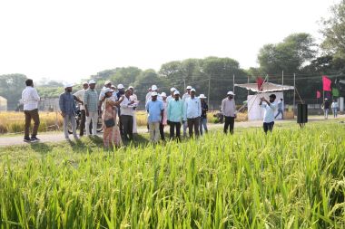 ICAR–IIRR Celebrates Farmers’ Day 2025
