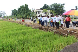 78th-Foundation-Day-NRRI-01_0.jpg 
