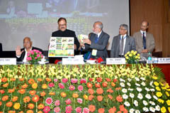 AGM2013-05-18_0.jpg 
