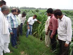 ANIMAL-FEEDING-02-02122019_0.jpg