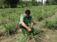 ANIMAL-FEEDING-03-02122019