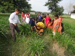 ANIMAL-FEEDING-06-02122019_0.jpg 