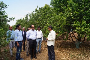 Adoption-Good-Agriculture-Practices-02