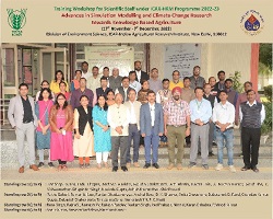 Advances-Simulation-Modelling-01