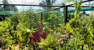 Agri-Business Incubator at Anand Receives Commendation from Prime Minister of India 02