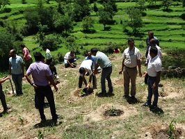Almora-01