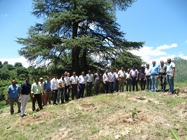 Almora-02