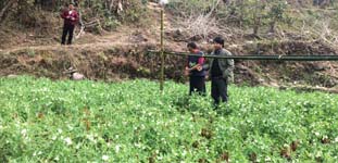 BackyardpoultryVanaraja)production-02_0.jpg 