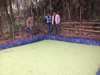 BackyardpoultryVanaraja)production-06_0.jpg