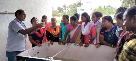 बंगाल कैट फिश (मिस्टस गुलियो) का होमस्टेड हैचरी आधारित बीज उत्पादन: पश्चिम बंगाल के सुंदरबन में भूमिहीन कृषि महिलाओं के लिए एक व्यवहार्य आजीविका मॉडल का आयोजन
