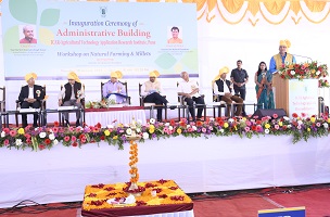 Building-ICAR-ATARI-Pune-04_1.jpg 