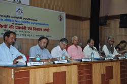 CISH-30-03-2013-1_1.jpg 