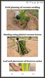 CPCRI-QR-Coconut-3_0.jpg