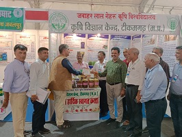 Chemical-Free-Natural-Farming-03
