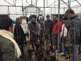 Clean-Plant-Programme-apple-02_0.jpg