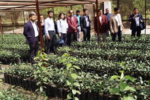 Clean-Plant-interacted-stakeholders-ICAR-CCRI-02.jpg