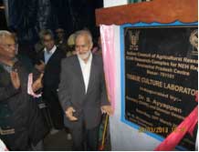 DG-bastar-04-04-2013-2_0.jpg 