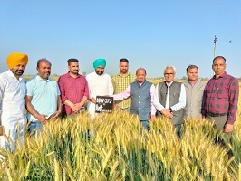 Farm-Farmers-Scientist-01_0.jpg 