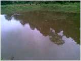 Fingerlings-pond-sucess-story-19-09-2011