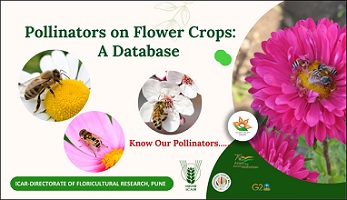 Floriculture-Nurtures-Pollinators-03.jpg
