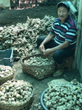 Ginger-produce-062018