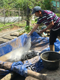 Ginger-treatment-082018