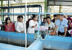 Hill-Farmers-Ornamental-fish-farming-CIFRI-02.jpg
