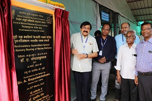 ICAR-CMFRI-fishes-nation-04