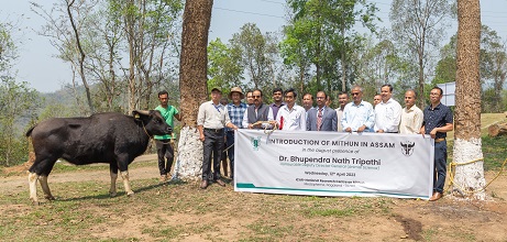 ICAR-Mithun-Nagaland-inaugurated-03